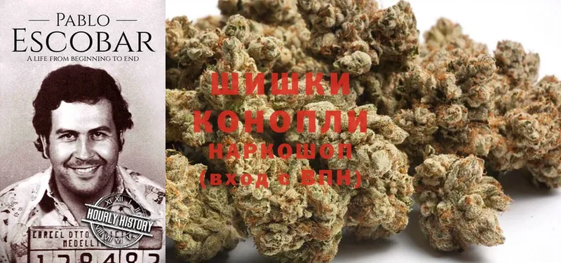 МАРИХУАНА OG Kush  Красный Кут 